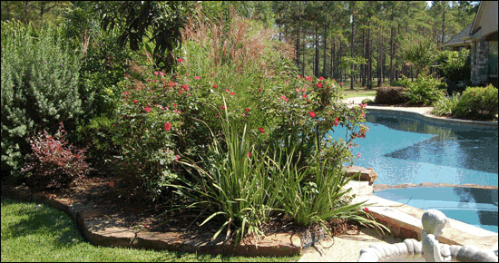 Turf Plus Commercial and Residential Landscape, Lawn Care and Management in Houston Texas